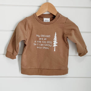 Dreams Are A Size Too Big Sweatshirt in nutmeg for infants and toddlers