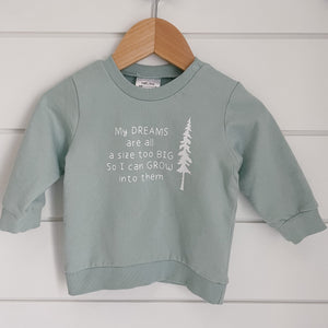 Dreams Are A Size Too Big Sweatshirt in sea mist for infants and toddlers